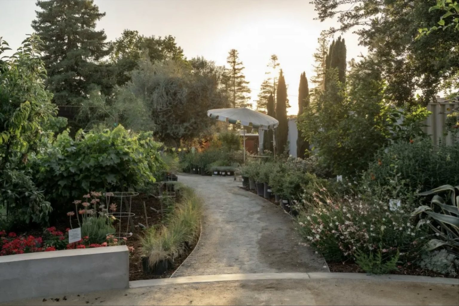 Professionally landscaped nursery garden walkway with flowering plants and trees